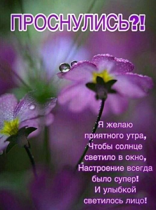 Открытка Доброе утро: красивые цветы с пожеланиями