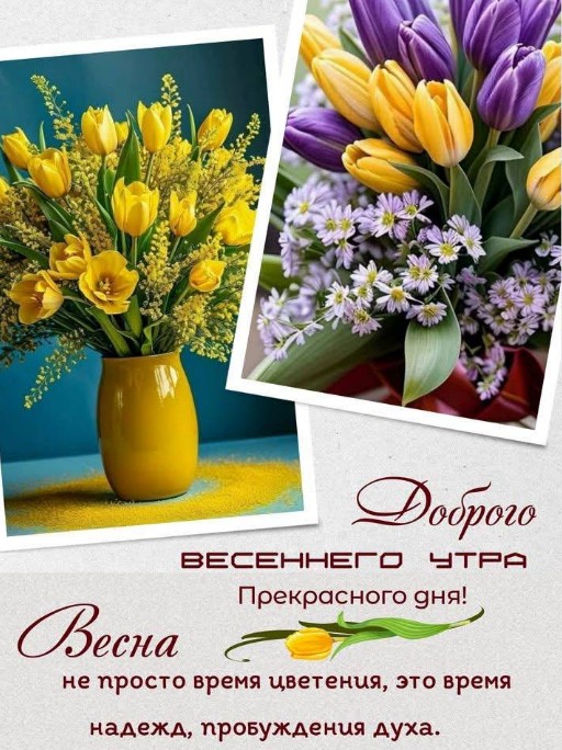 Открытка с пожеланием доброго весеннего утра, украшенная букетами желтых и фиолетовых тюльпанов в вазе