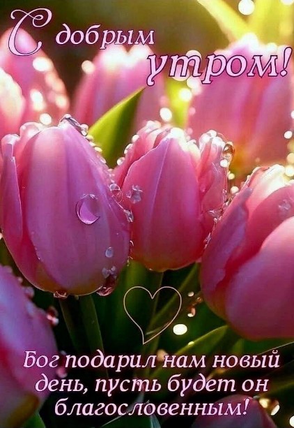 Открытка с добрым утром: нежные розовые тюльпаны