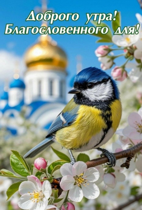 Открытка Доброго утра и благословенного дня 