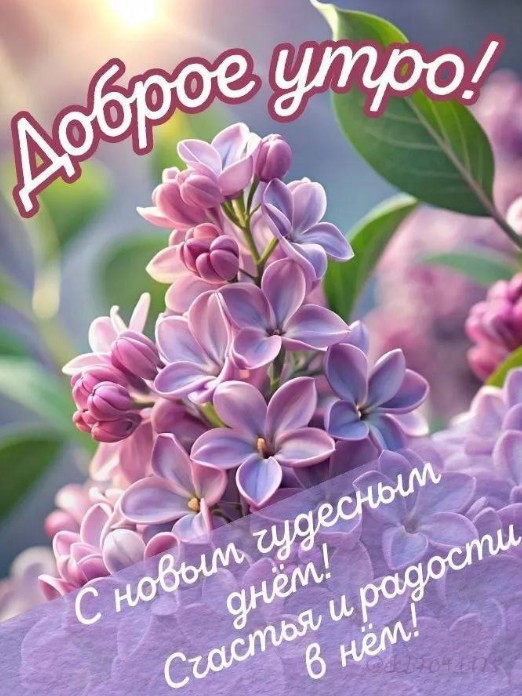 Красивая открытка Доброе утро с нежной сиренью