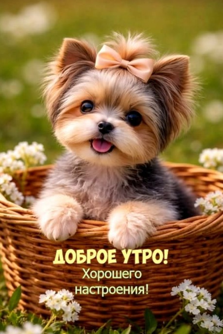 Пожелайте близким чудесного дня с красивой открыткой доброе утро!