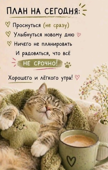 Открытка Доброе утро: милый кот с кофе и уютным планом на день