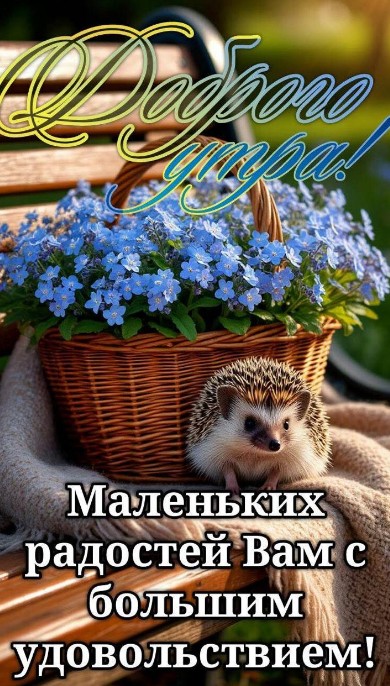 Пожелайте близким чудесного дня с открыткой Доброе утро