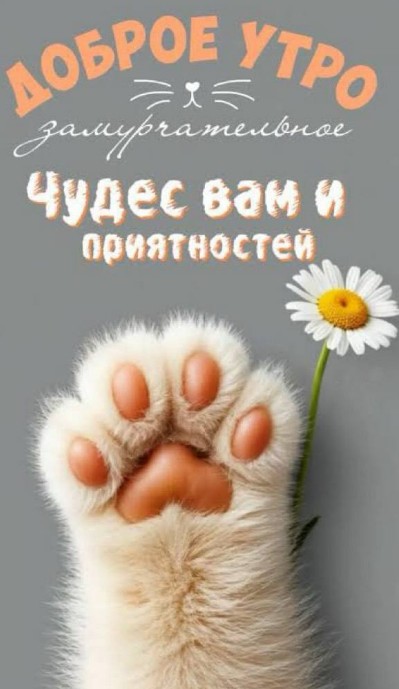 Открытка Доброе утро: милая кошачья лапка с ромашкой