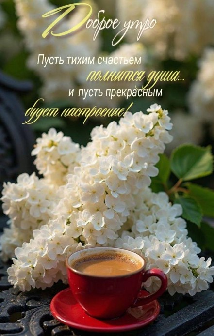 Открытка Доброе утро с белой сиренью и чашкой кофе