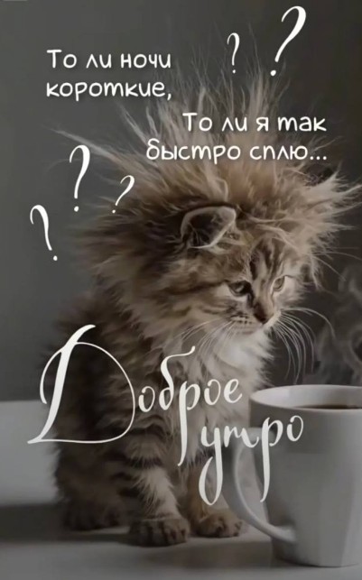 Открытка Доброе утро с милым котенком 