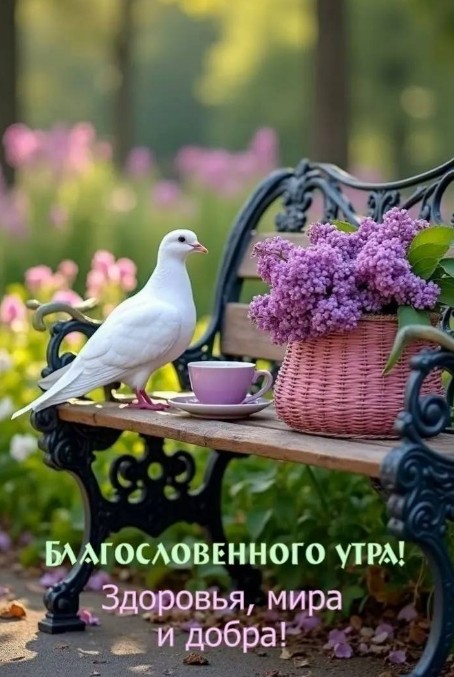 Красивая открытка: Благословенного утра, здоровья, мира и добра