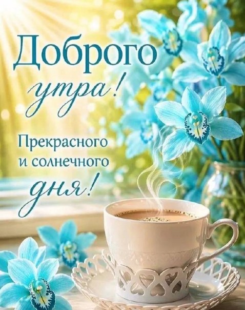 Красивая открытка Доброго утра и солнечного дня с цветами