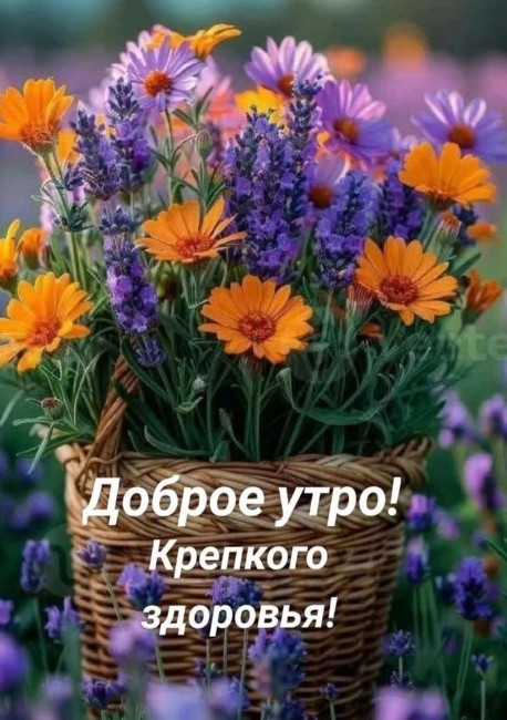 Открытка Доброе утро и пожелание крепкого здоровья