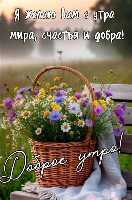 Красивая открытка Доброе утро с полевыми цветами в корзине