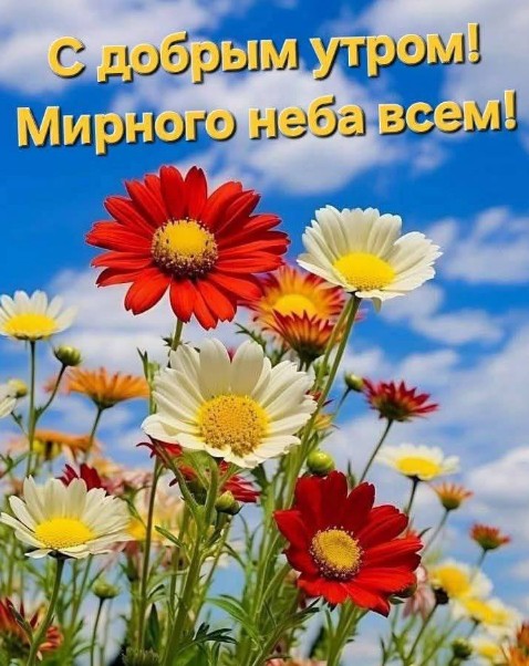С добрым утром и пожеланием мирного неба