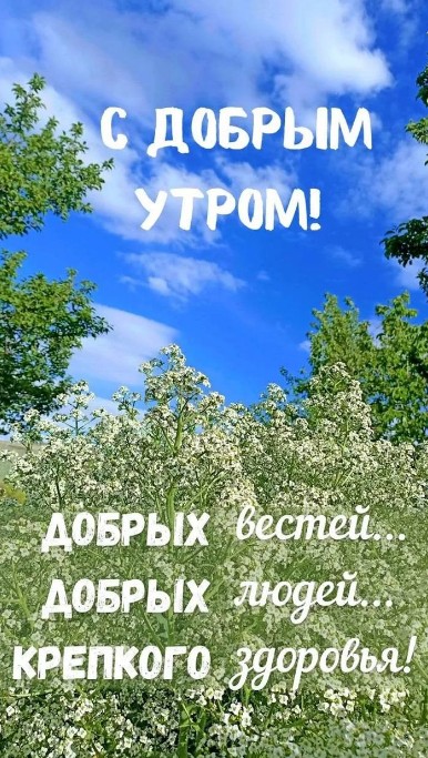 С добрым утром и пожеланиями здоровья