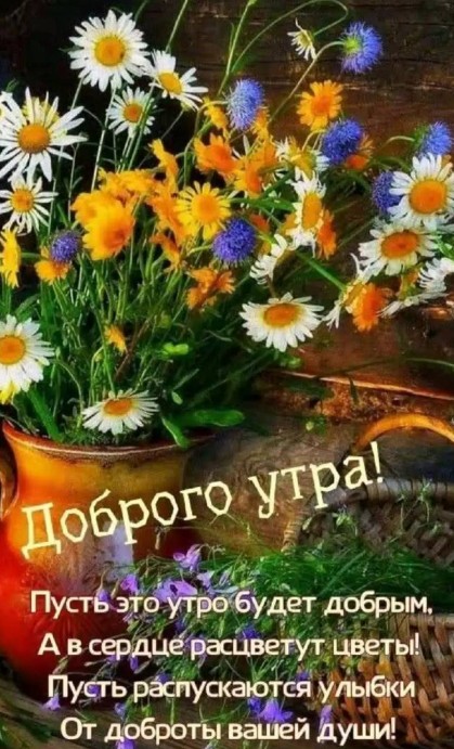 Доброе утро с полевыми цветами