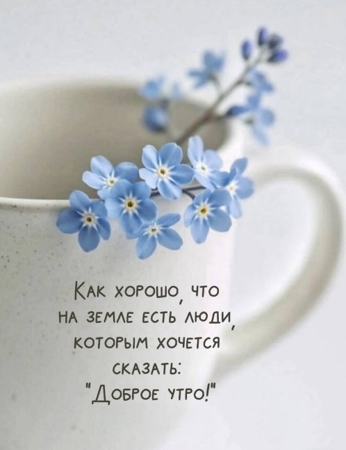 Открытка Доброе утро с нежными голубыми цветами