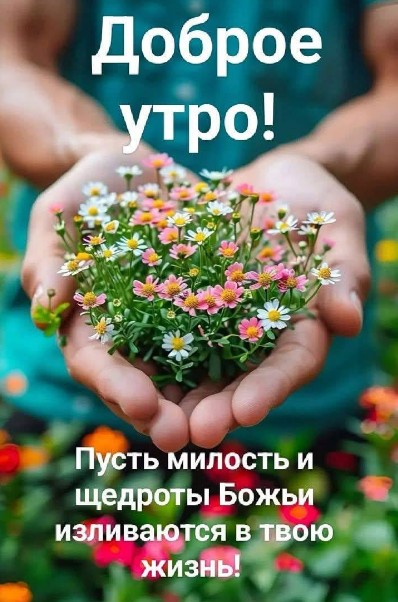 Доброе утро с цветами и пожеланием Божьих благословений