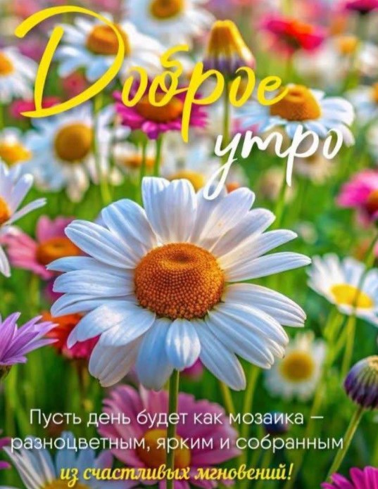 Доброе утро и с пожеланием счастливого дня