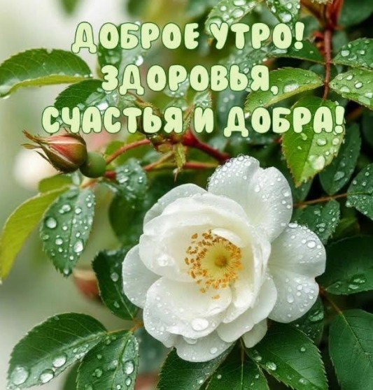 Доброе утро, здоровья, счастья и добра