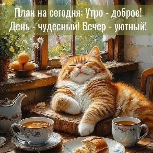 Открытка с пожеланием доброго утра и уютного дня 