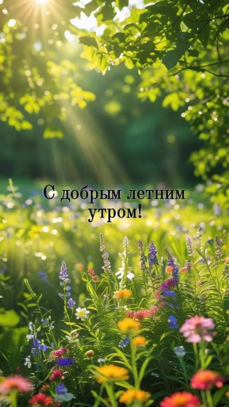 Открытка с добрым летним утром