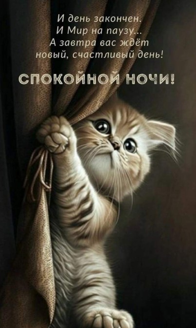 Картинка с котенком спокойной ночи, завтра вас ждет счасливый день