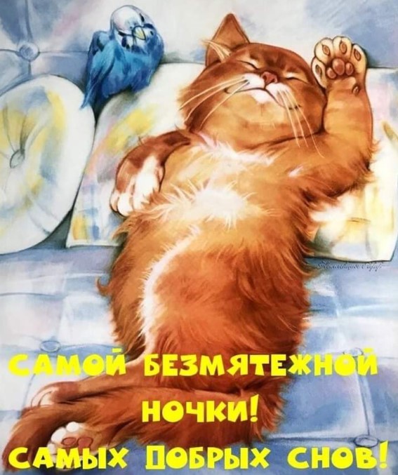 Картинка с рыжим котом и пожеланием самой безмятежной ночи и самых добрых снов