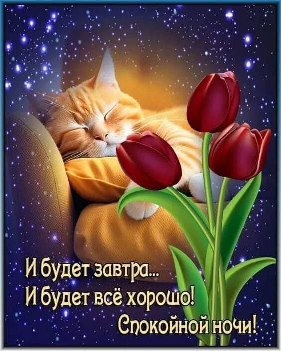 И будет завтра, и будет всё хорошо, спокойной ночи!