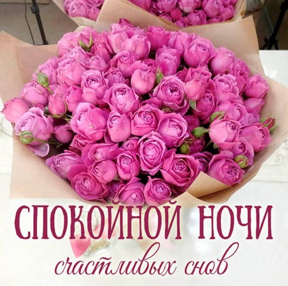 Спокойной ночи и счастливых снов