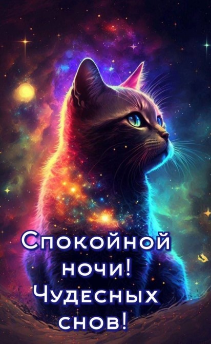 Спокойной ночи и чудесных снов