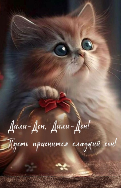 Дили-дон, дили-дон, пусть приснится сладкий сон!