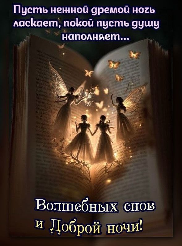 Пусть нежной дремой ночь ласкает, покой пусть душу наполняет, волшебных снов и спокойной ночи!