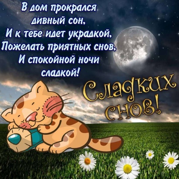 В дом прокрался дивный сон и к тебе придет украдкой