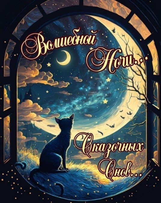 Картинка с кошкой, которая загляделась на луну