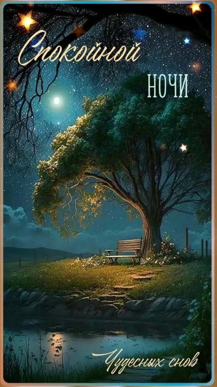 Открытка со скамейкой и огромным деревом на фоне звездного неба.