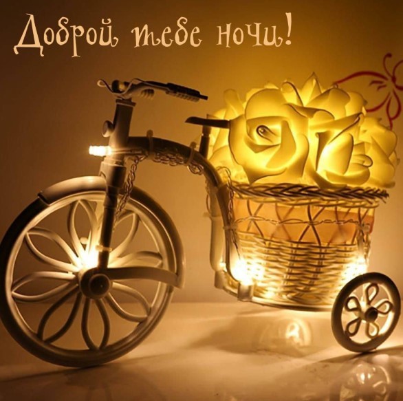 Доброй тебе ночи!