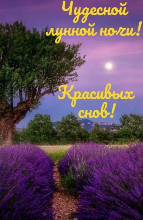 Чудесной лунной ночи и красивых снов