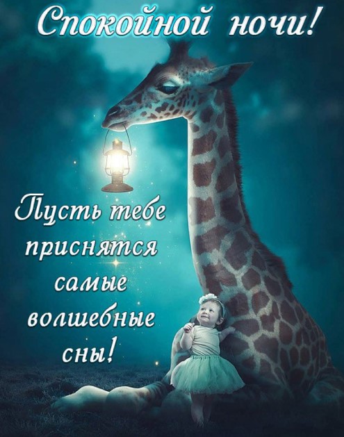 Пусть тебе присняться самые добрые и волшебные сны на свете!