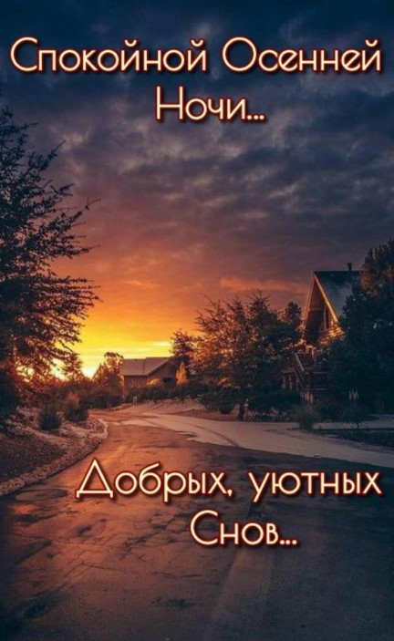 Спокойной осенней ночи и добрых уютных снов