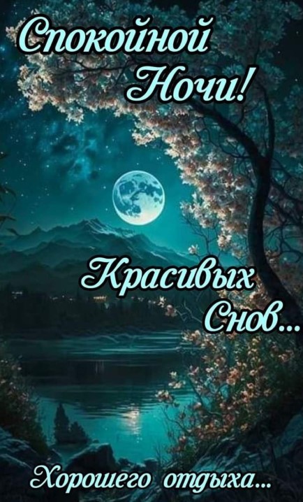 Красивых снов и хорошего отдыха, спокойной ночи!