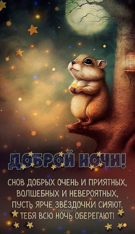 Снов добрых и приятных, волшебных и невероятных!