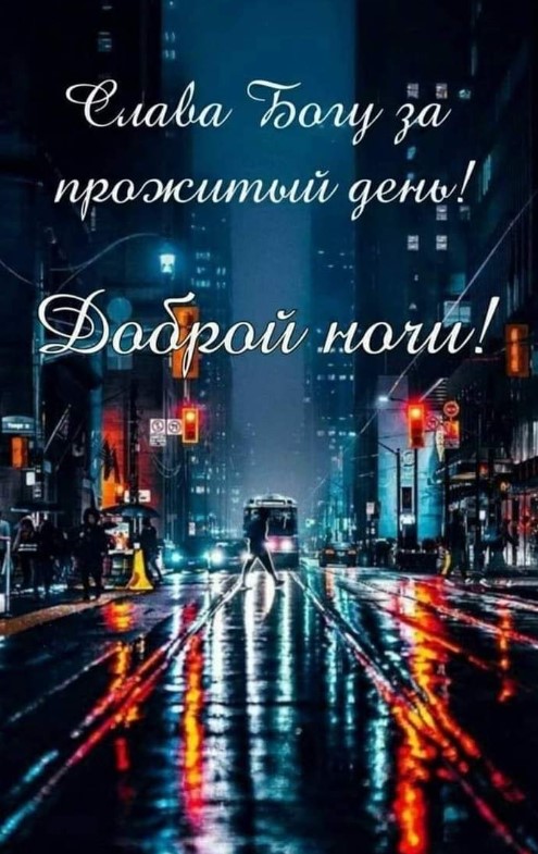Слава Богу за прожитый день, доброй ночи!