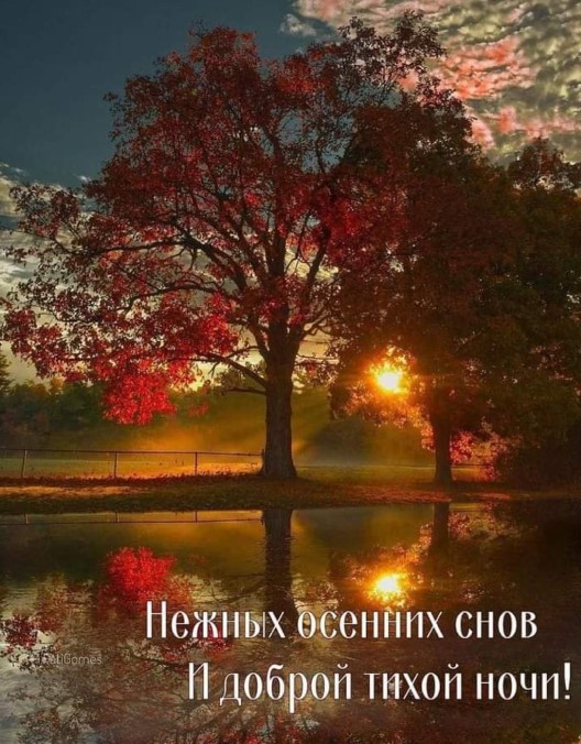 Нежных осенних снов и доброй тихой ночи!