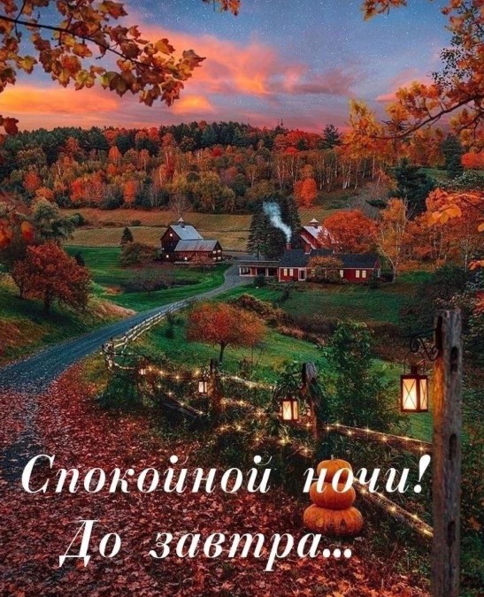 Спокойной ночи и до завтра