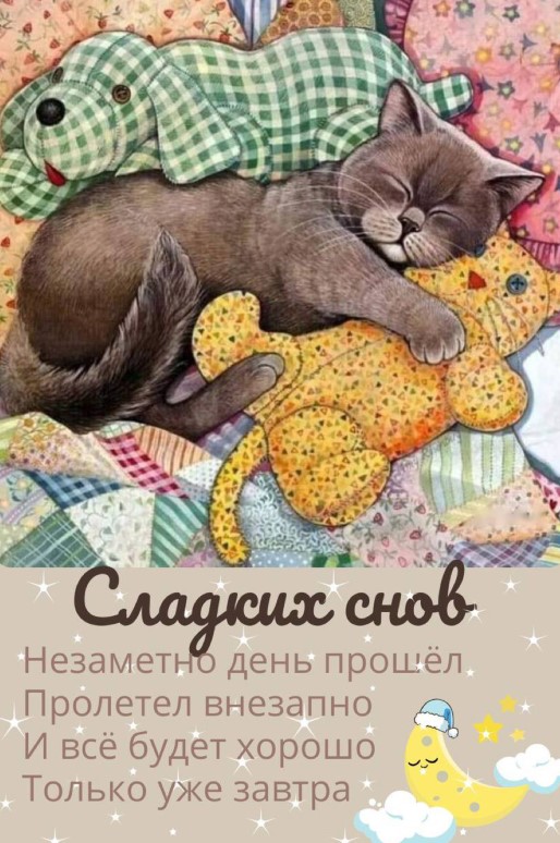 Сладких снов! Незаметно день прошел, пролетел внезапно...