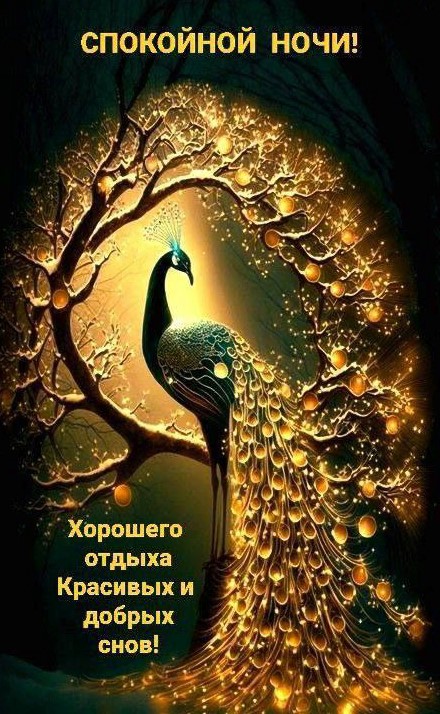 Желаю спокойной ночи, хорошего отдыха и красивых снов