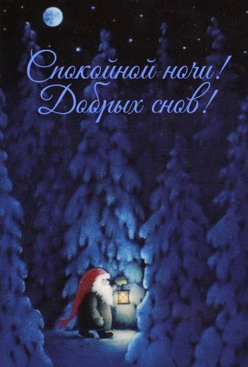 Добрых снов! Спокойной ночи!