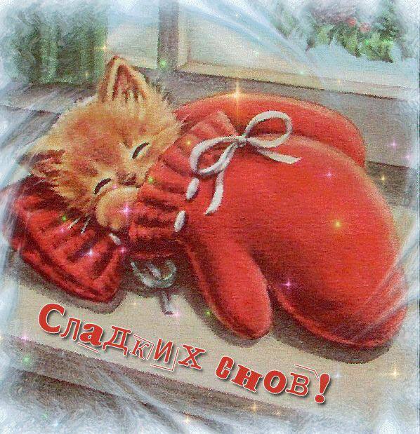 Сладких снов!