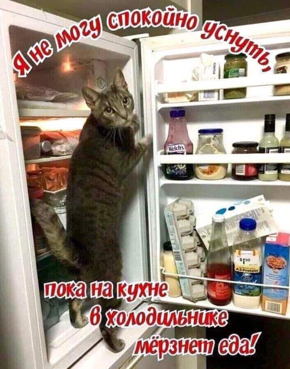 Я не могу спокойно уснуть, пока на кухне в холодильнике мерзнет еда!