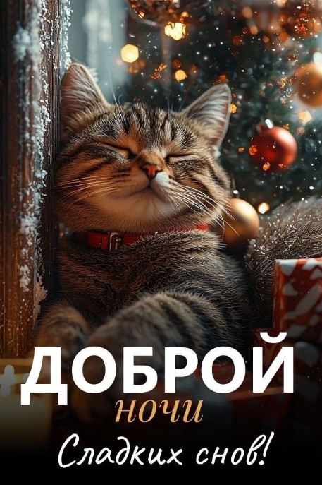 Сладких снов!