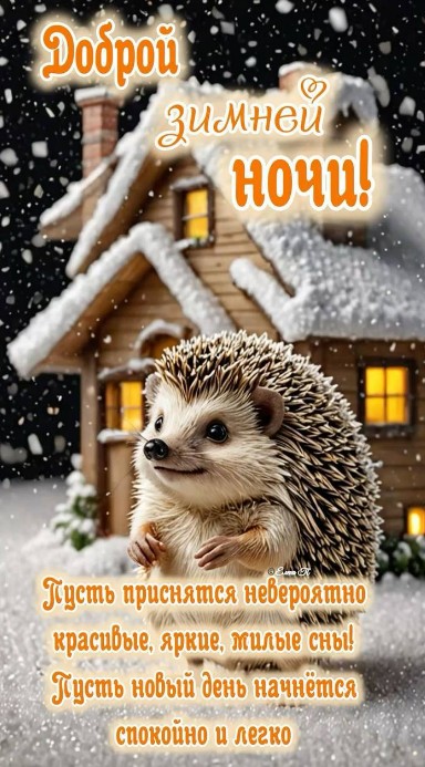 Доброй зимней ночи!